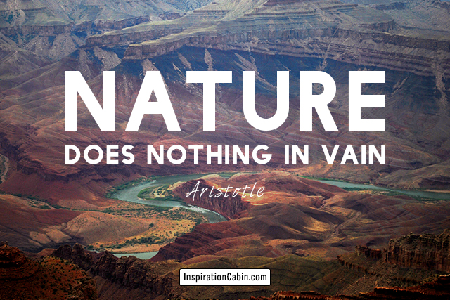 Nature does nothing in vain.