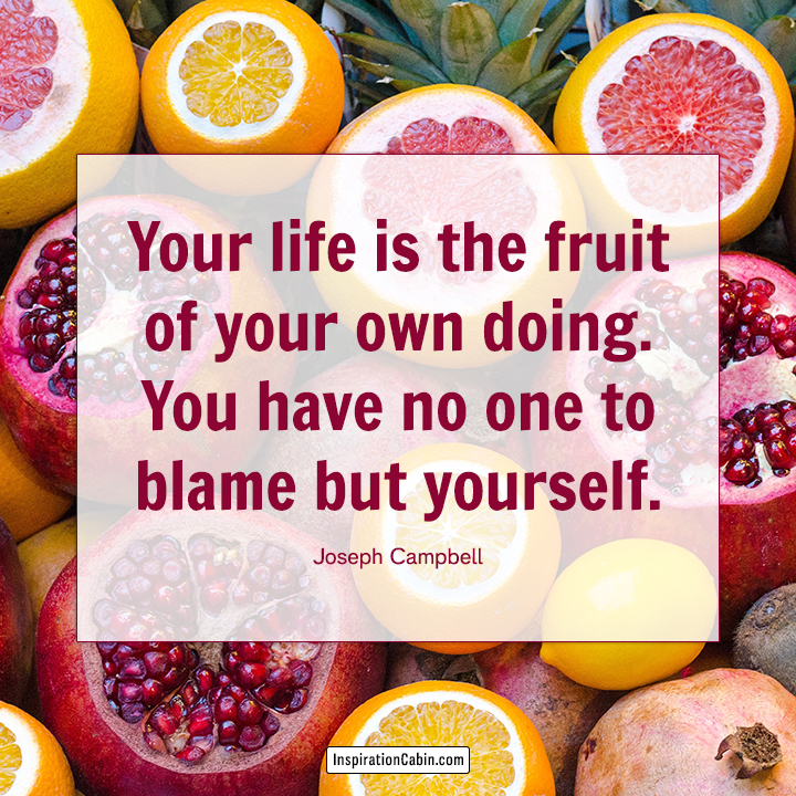 Your life is the fruit of your own doing.