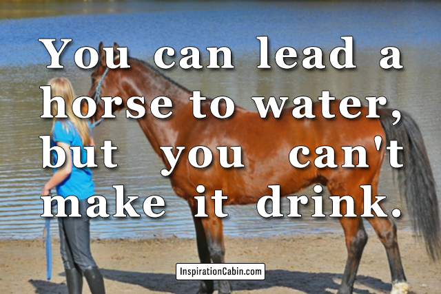 You can lead a horse to water, but you can't make it drink.