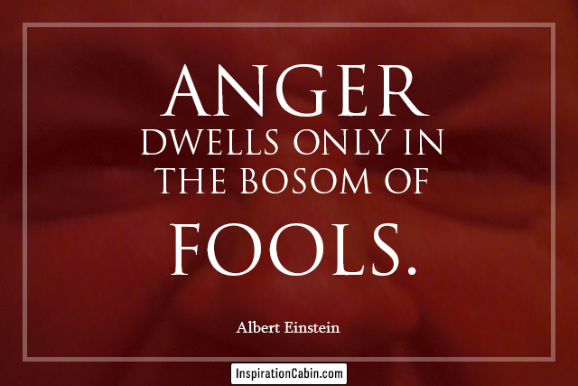 Anger dwells only in the bosom of fools.