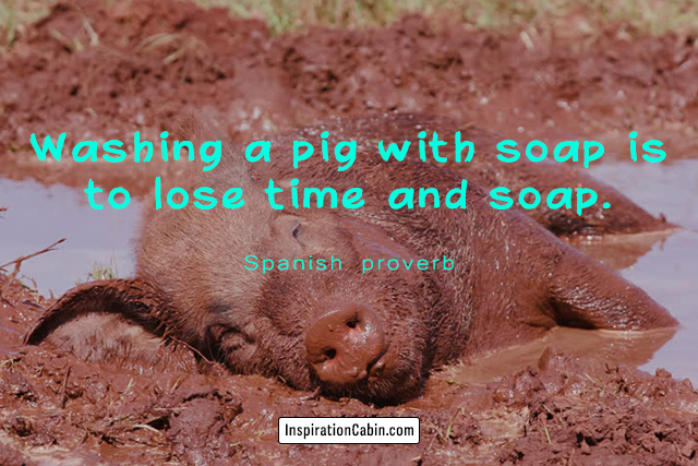 Washing a pig with soap is to lose time and soap.