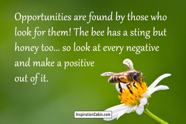Opportunities are found by those who look for them! The bee has a sting but honey too... so look at every negative and make a positive out of it.