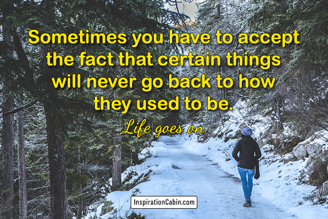 Sometimes you have to accept the fact that certain things will never go back to how they used to be. Life goes on.