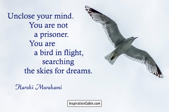 Unclose your mind. You are not a prisoner. You are a bird in flight, searching the skies for dreams.