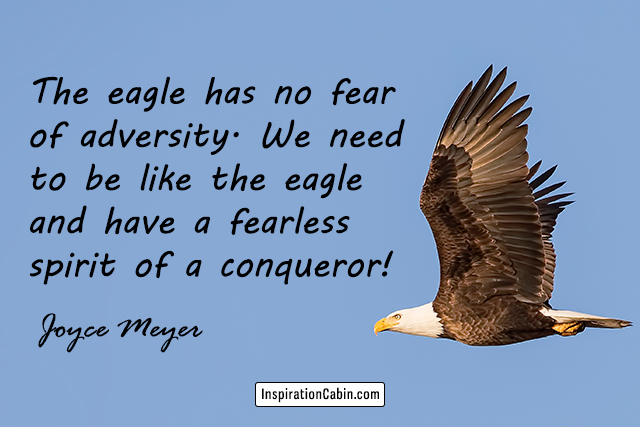 The eagle has no fear of adversity. We need to be like the eagle and have a fearless spirit of a conqueror!