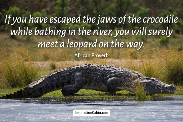 If you have escaped the jaws of the crocodile while bathing in the river, you will surely meet a leopard on the way.