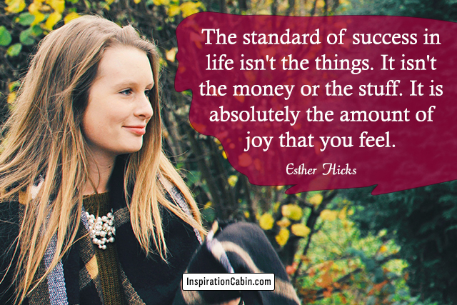 The standard of success in life isn't the things. It isn't the money or the stuff. It is absolutely the amount of joy that you feel.