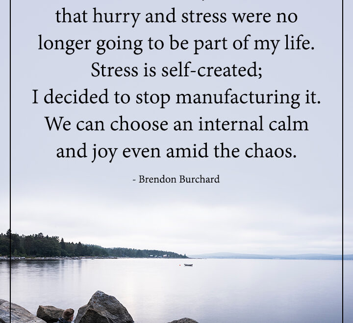 Stress quote